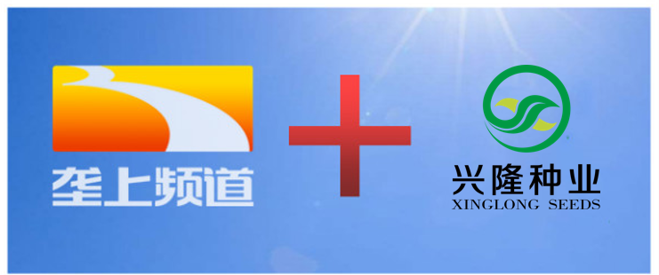 微信截圖_20171226093940.png